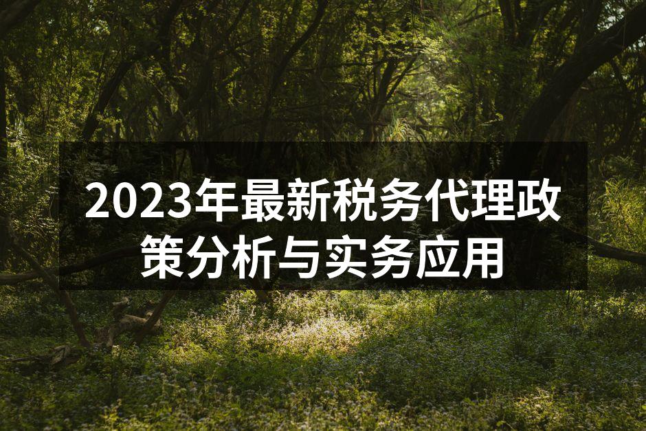 2023年最新税务代理政策分析与实务应用