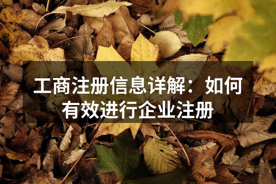 工商注册信息详解：如何有效进行企业注册