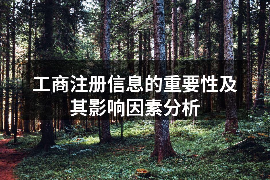 工商注册信息的重要性及其影响因素分析