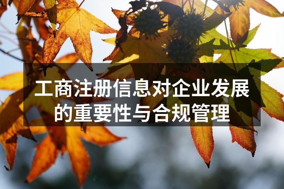 工商注册信息对企业发展的重要性与合规管理