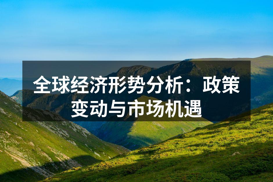 全球经济形势分析：政策变动与市场机遇