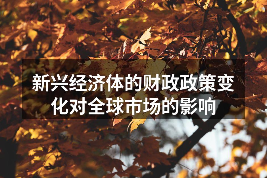 新兴经济体的财政政策变化对全球市场的影响