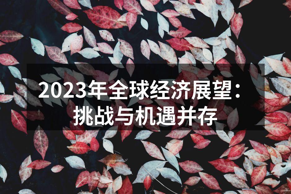 2023年全球经济展望：挑战与机遇并存