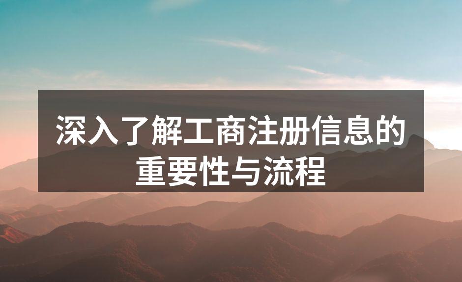 深入了解工商注册信息的重要性与流程
