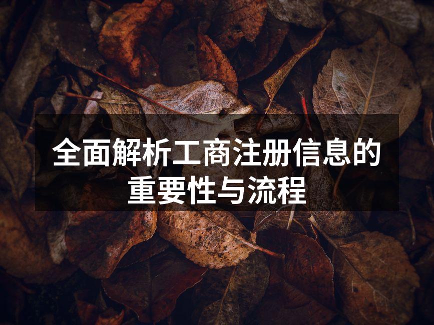 全面解析工商注册信息的重要性与流程