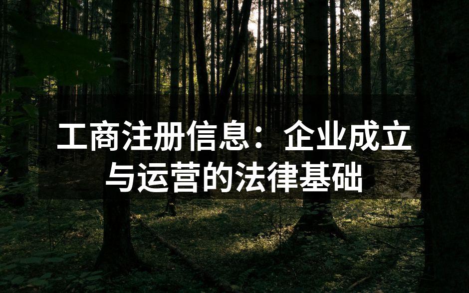 工商注册信息：企业成立与运营的法律基础