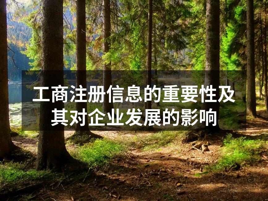 工商注册信息的重要性及其对企业发展的影响